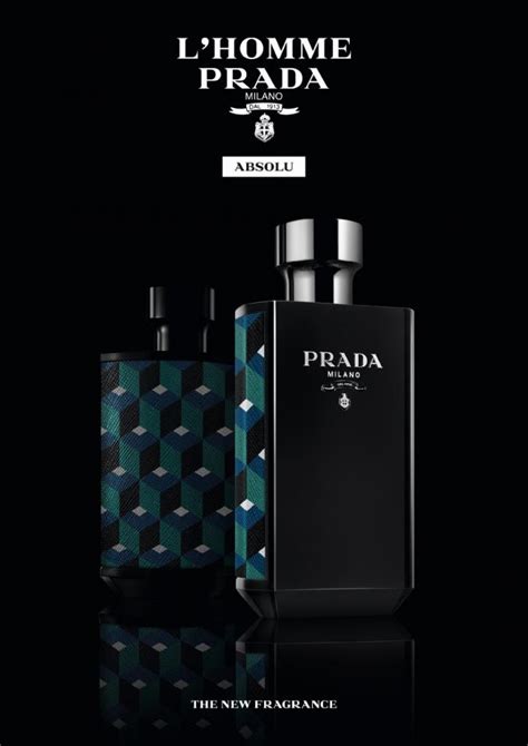 prada l'homme absolu douglas|prada l'homme longevity.